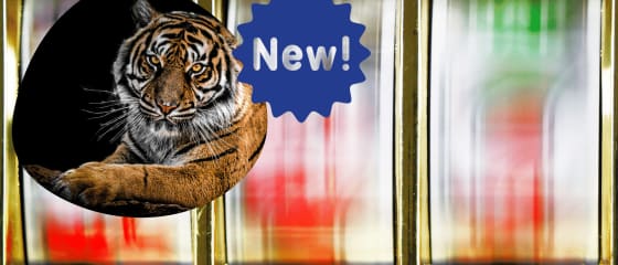 Relax Gaming verwelkomt 2022 Tiger Kingdom Infinity Reels